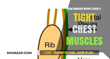 Chest Tightness: How Nerve Damage Affects Muscles