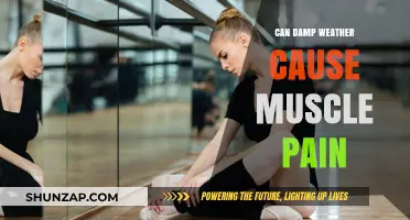 Damp Weather's Link to Muscle Pain and Aches