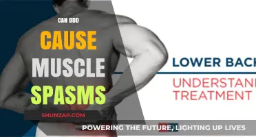 DDD and Muscle Spasms: What's the Connection?