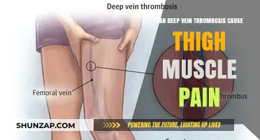Deep Vein Thrombosis: Thigh Pain and DVT Connections
