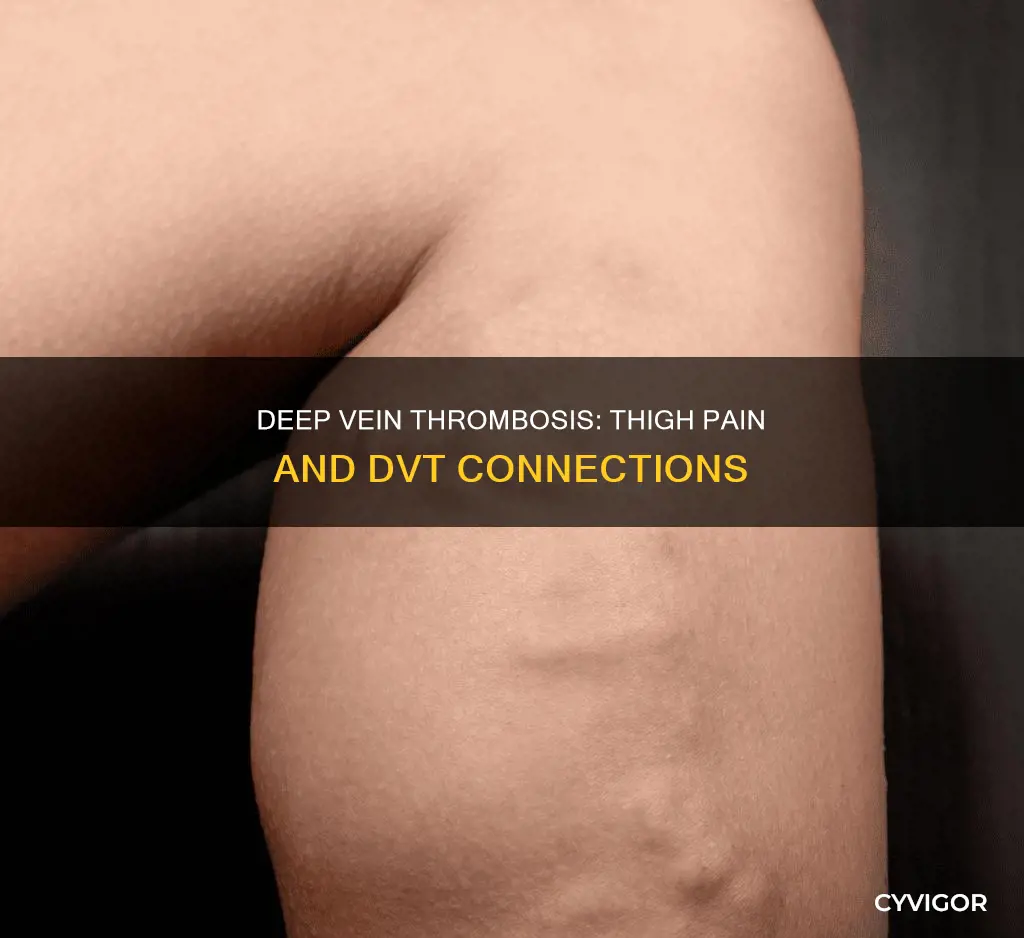 can deep vein thrombosis cause thigh muscle pain
