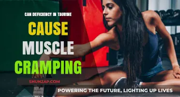 Taurine Deficiency: A Cause of Muscle Cramps?