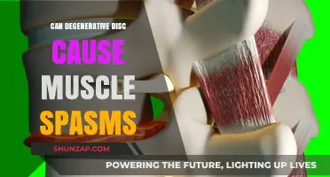 Degenerative Disc Disease: Muscle Spasms and Their Causes