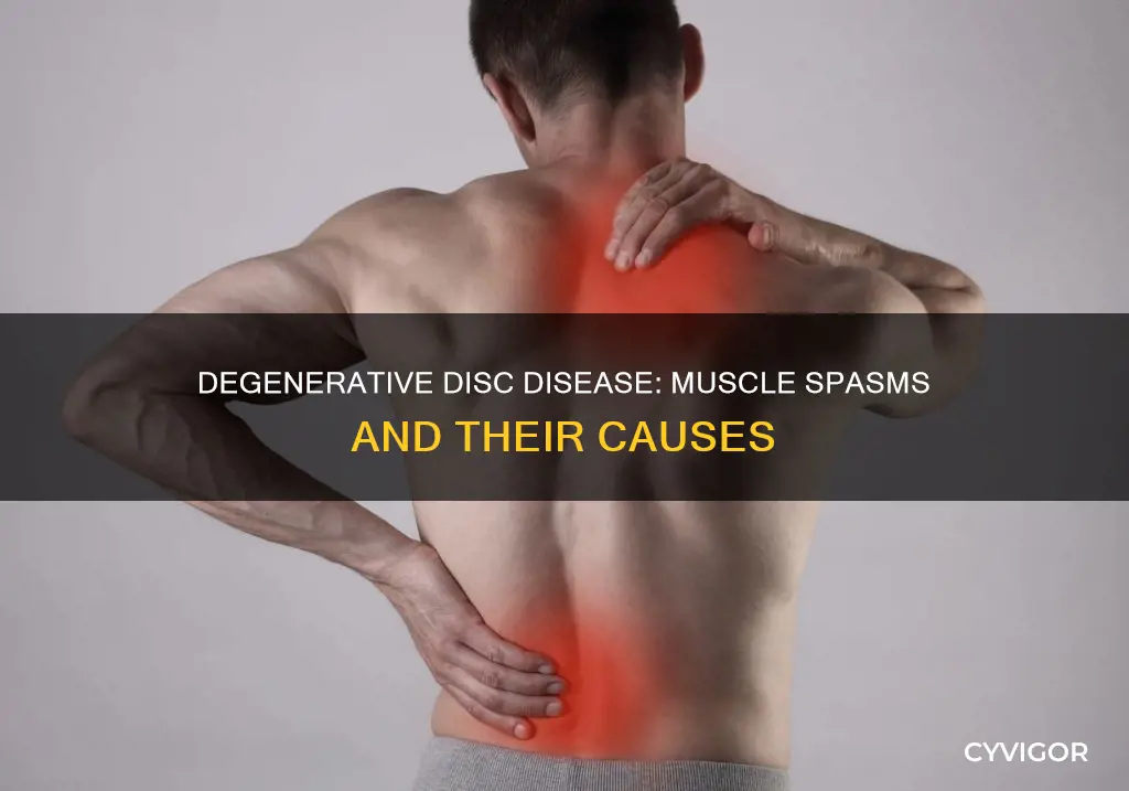 can degenerative disc cause muscle spasms