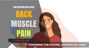Dehydration and Back Pain: Is There a Link?