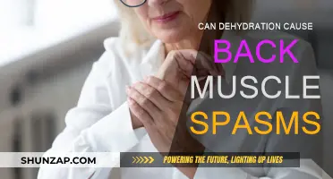 Dehydration and Back Spasms: What's the Connection?