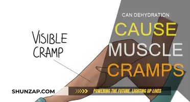 Dehydration and Muscle Cramps: Is There a Link?
