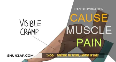 Dehydration's Link to Muscle Pain and Cramps