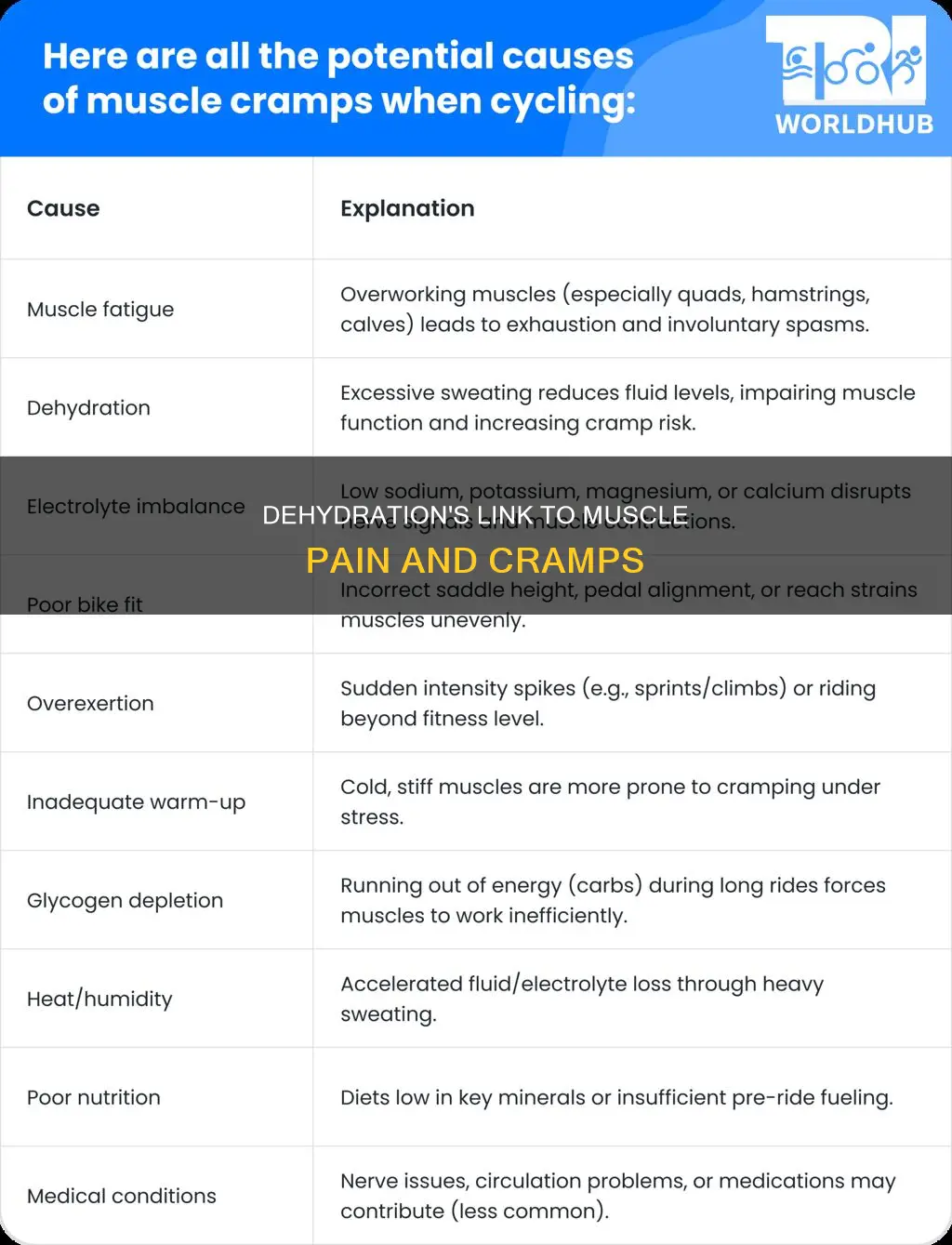 can dehydration cause muscle pain