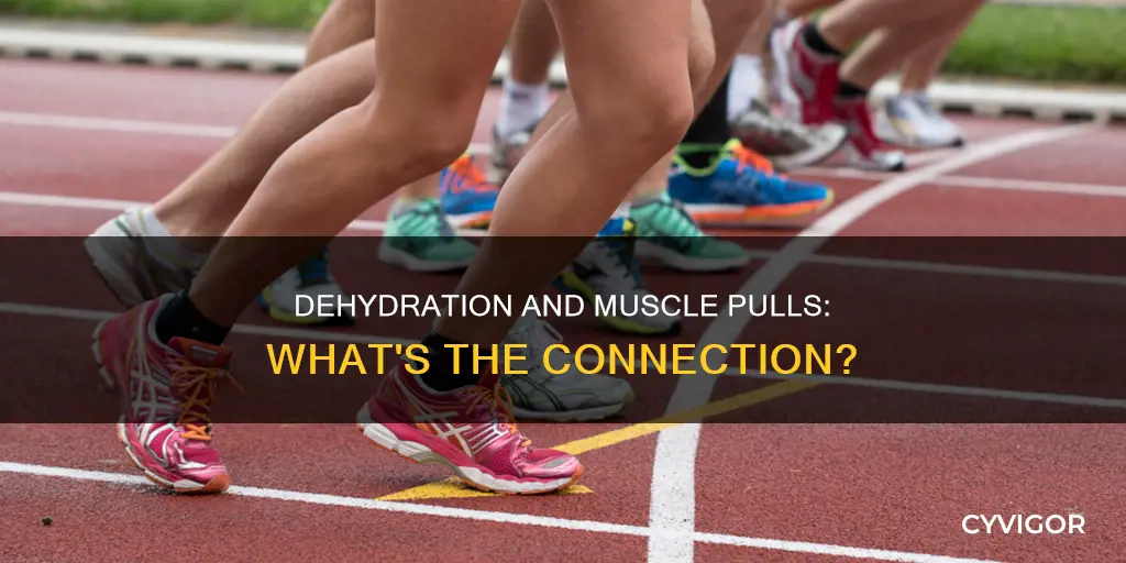 can dehydration cause muscle pulls