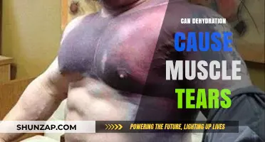 Dehydration's Impact: Muscle Tears and Prevention