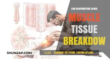 Dehydration's Impact: Muscle Breakdown and Tissue Damage