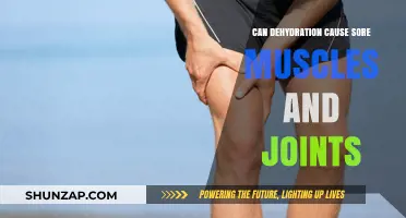 Dehydration's Impact: Sore Muscles and Joints