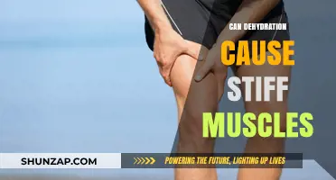 Dehydration and Muscle Stiffness: What's the Link?