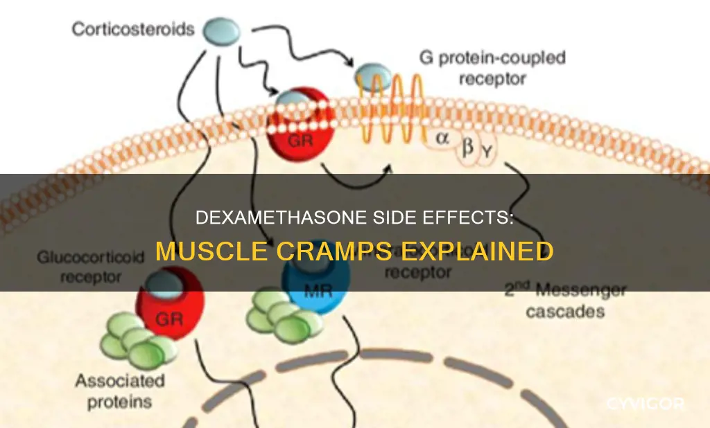 can dexamethasone cause muscle cramps
