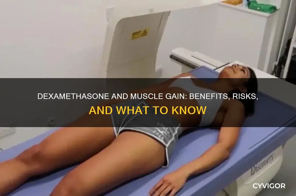 can dexamethasone help you gain muscle