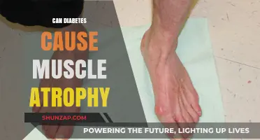 Diabetes and Muscle Loss: What's the Link?