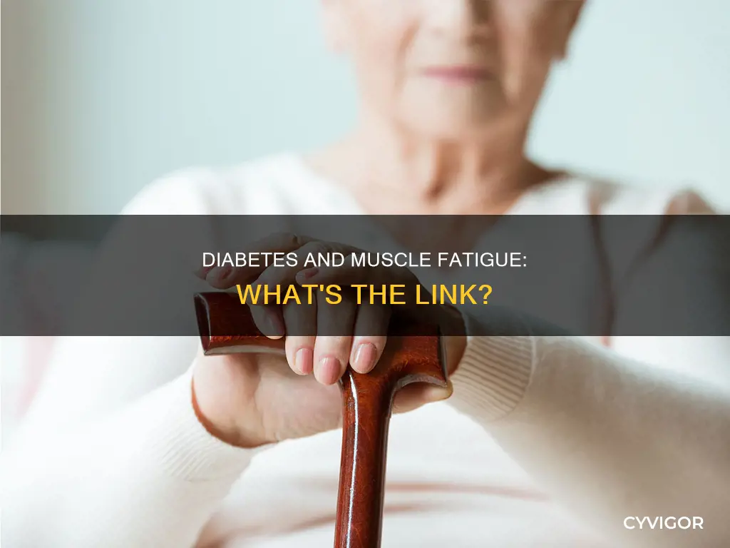 can diabetes cause muscle fatigue