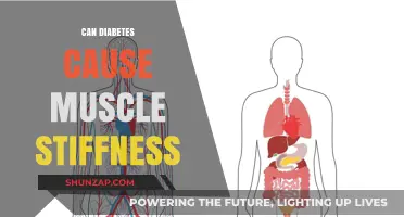 Diabetes and Muscle Stiffness: Is There a Link?