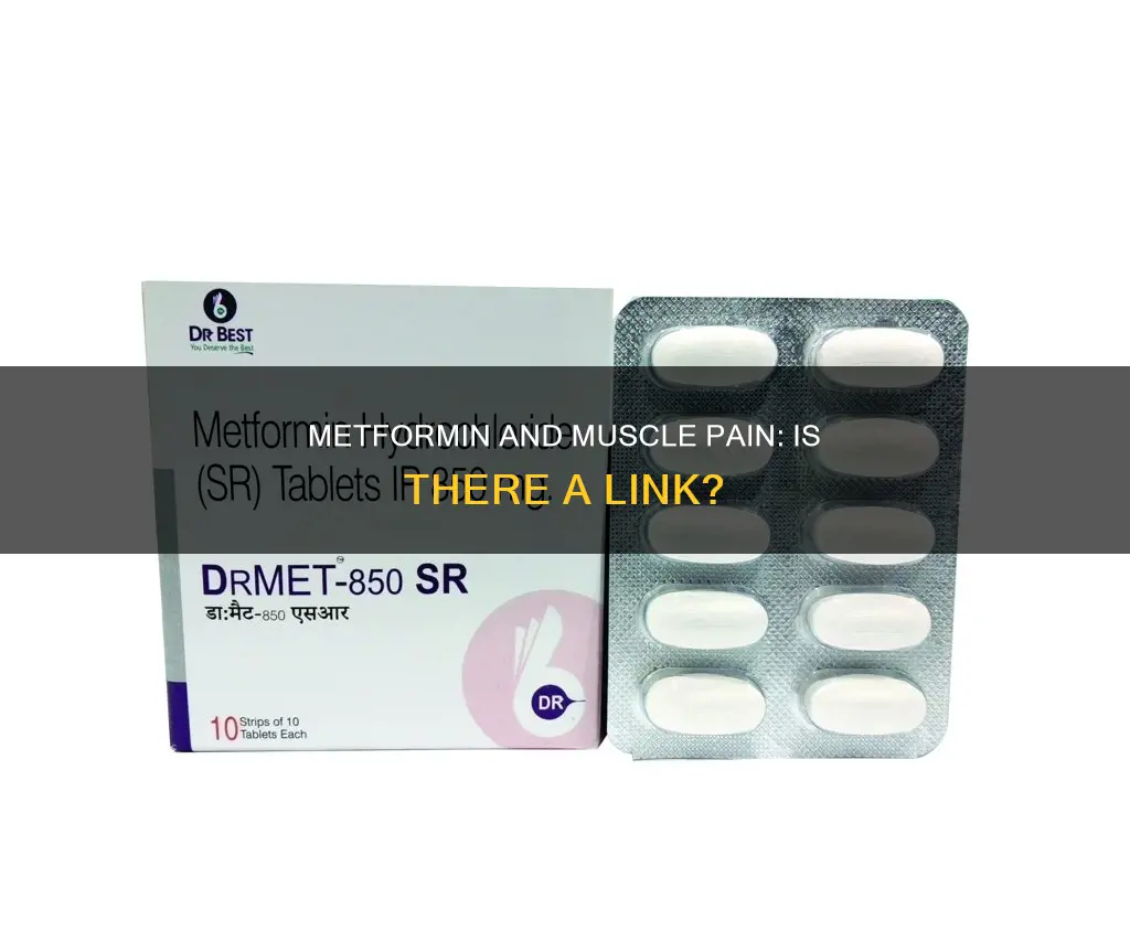can diabetes medication metformin cause muscle pain