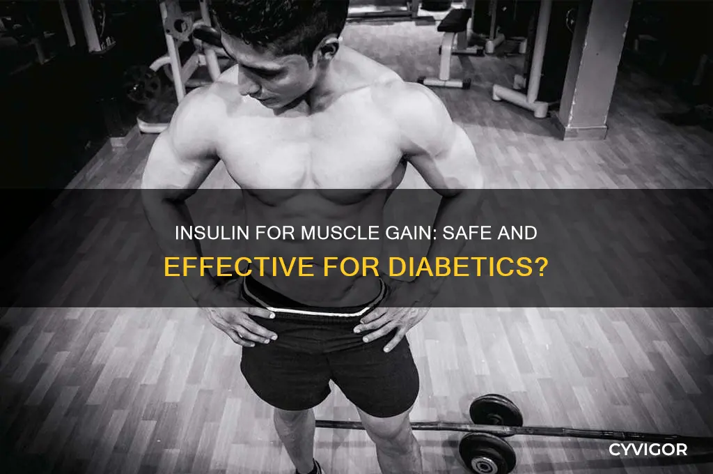 can diabetics use insulin to gain muscle