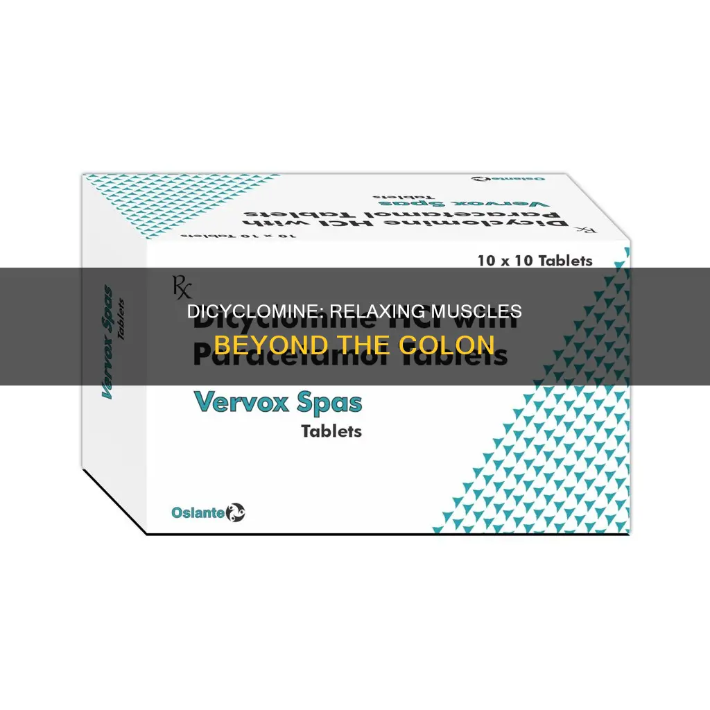 can dicyclomine cause other muscles to relax beside around colon