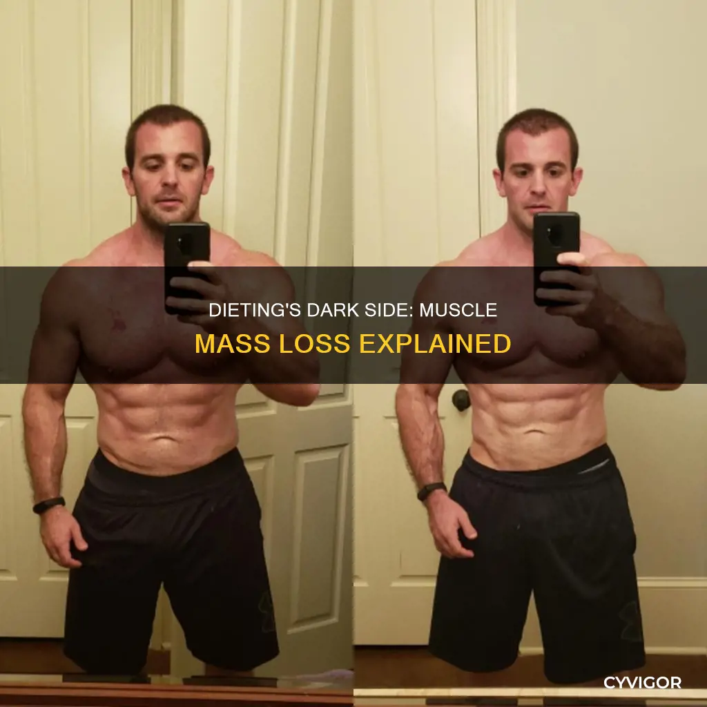 can dieting cause loss of muscle mass