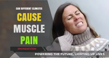 Climate Change: Muscle Pain Culprit?