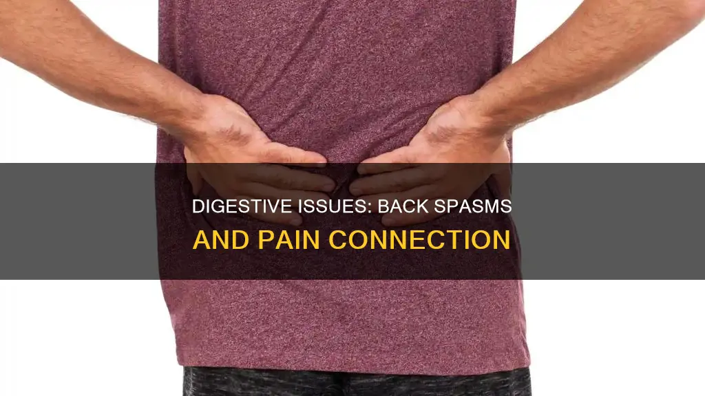 can digestive issues cause back muscle spasms