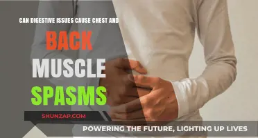 Digestive Issues: The Surprising Cause of Muscle Spasms