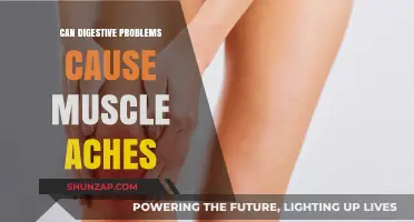 Digestive Woes: How They Cause Muscle Aches and Pains