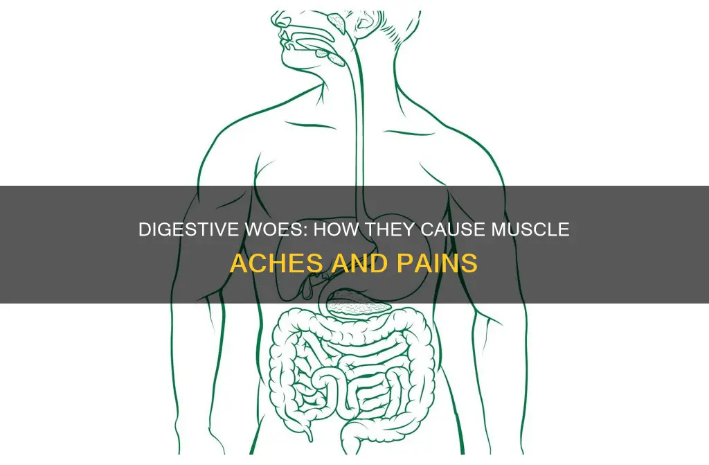 can digestive problems cause muscle aches
