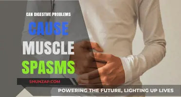 Digestive Woes: The Surprising Link to Muscle Spasms