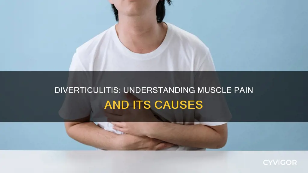 can diverticulitis cause muscle pain