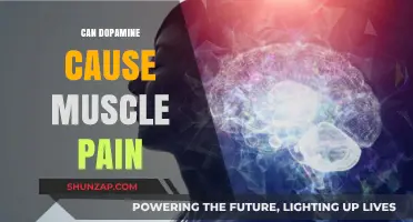 How Dopamine Influences Muscle Pain and Soreness