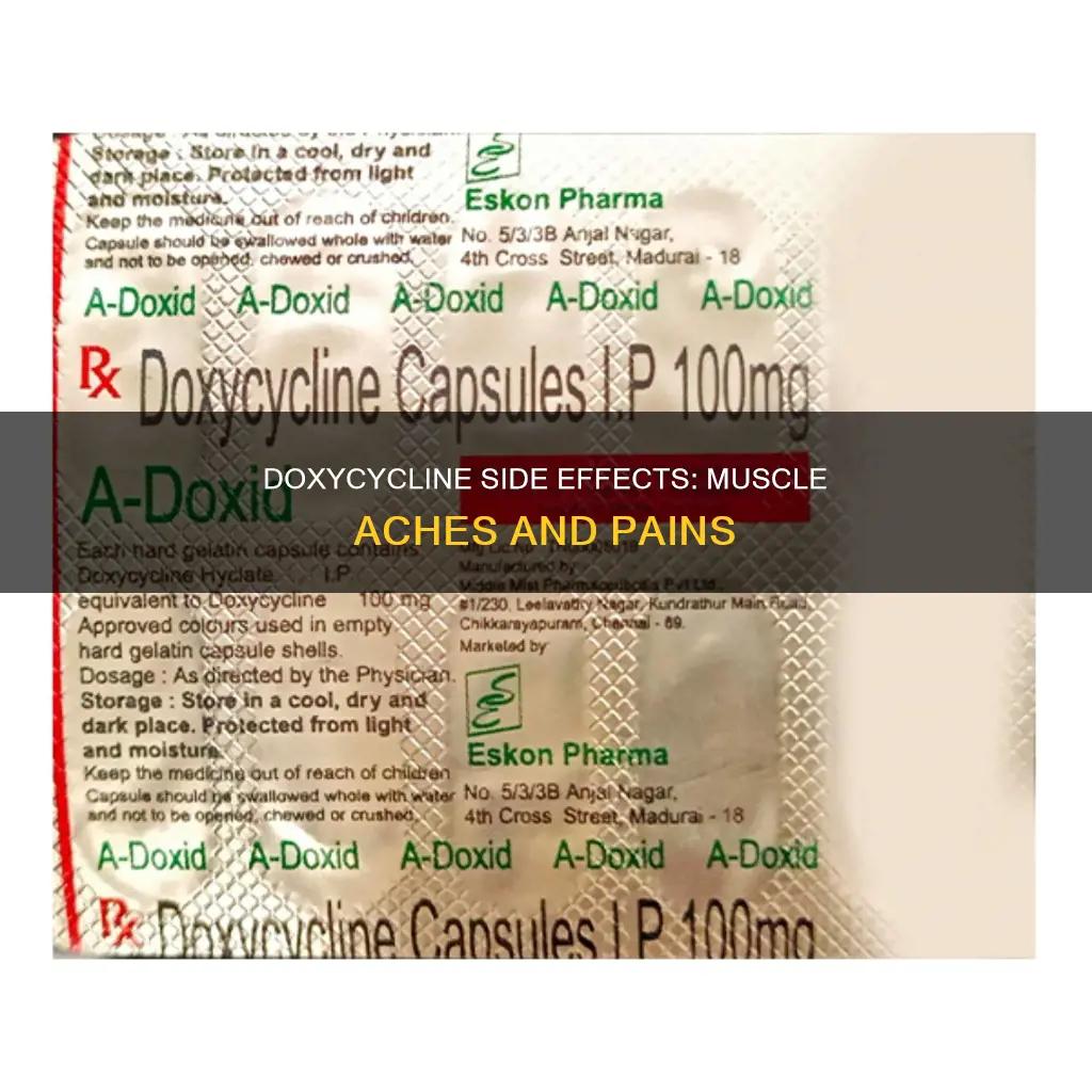 can doxycycline cause muscle aches
