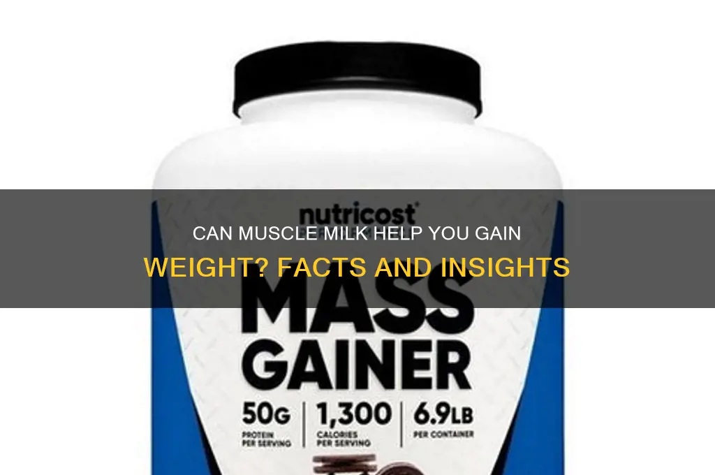 can drinking muscle milk help you gain weight