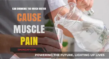 Drinking Water: Hydration, Muscle Pain, and You