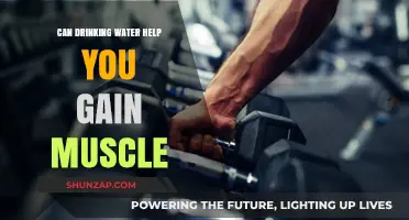 Hydration and Muscle Growth: Can Drinking Water Boost Your Gains?