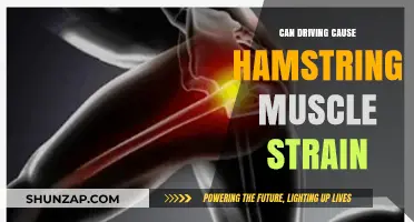Hamstring Health: Driving and Muscle Strains