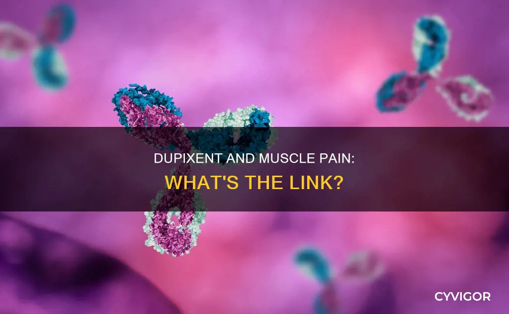 can dupixent cause muscle pain