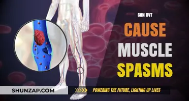 DVT and Muscle Spasms: What's the Link?