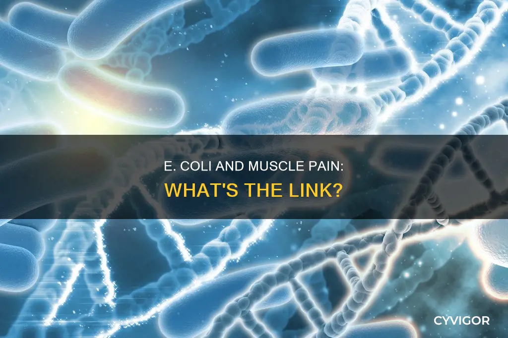 can e coli cause muscle pain