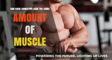 Can All Somatotypes Build Muscle Equally? Exploring Body Type Differences