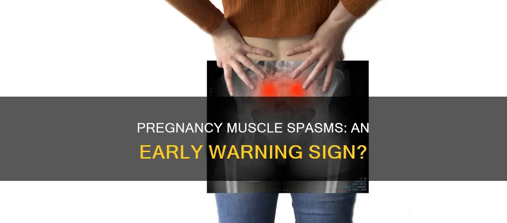 can early pregnancy cause muscle spasms
