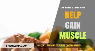 Boost Muscle Growth: Benefits of Eating Five Meals Daily