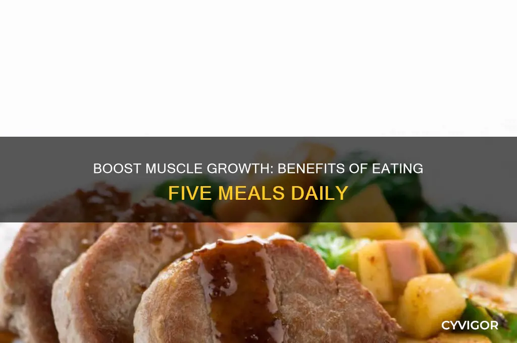 can eating 5 times a day help gain muscle