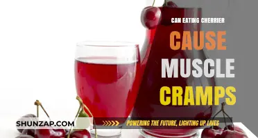 Cherries: Muscle Cramps and What You Need to Know