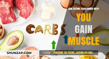 Low-Carb Muscle Building: Can Cutting Carbs Enhance Your Gains?