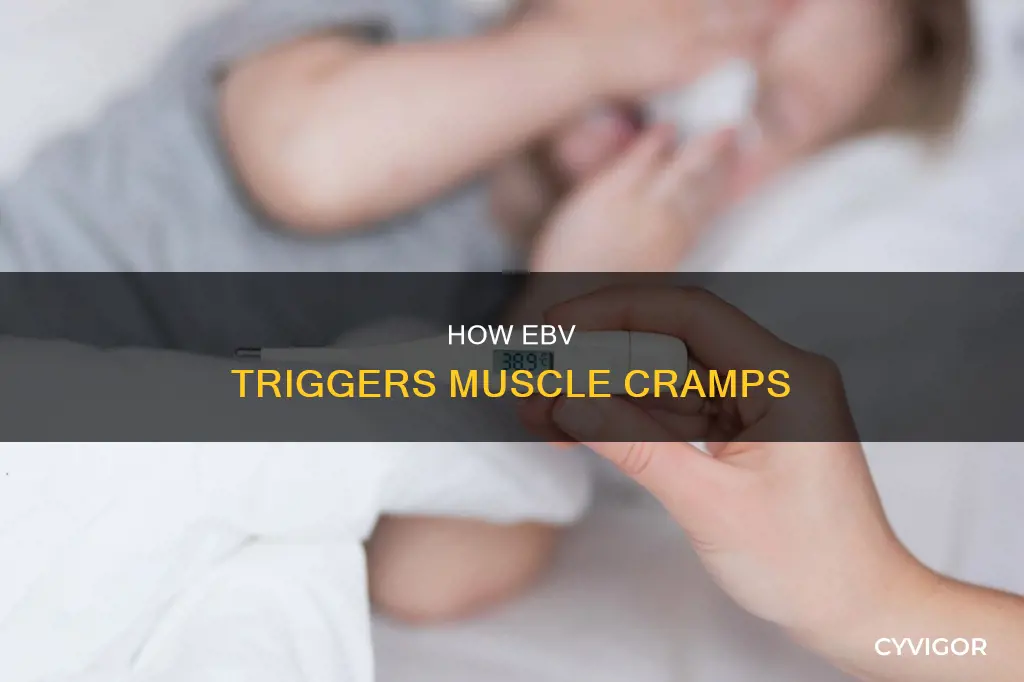 can ebv cause severe muscle cramps